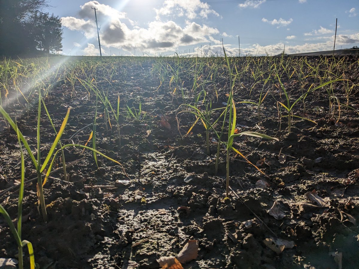 Jack Scott tweet media