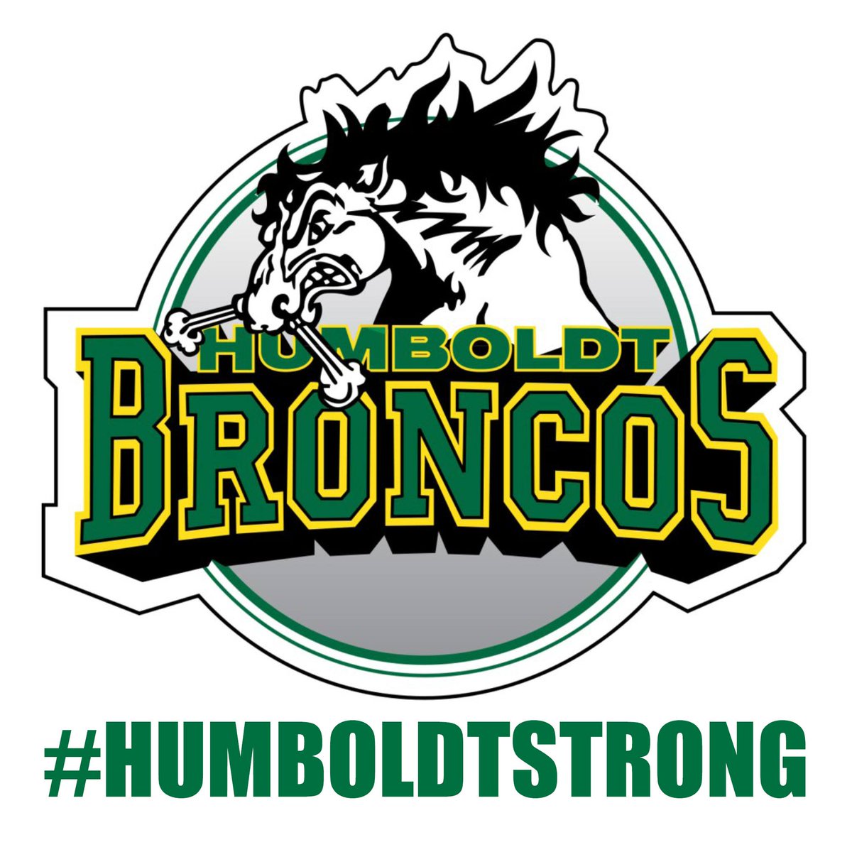 2nd Chance Trail Ride Society tweet media