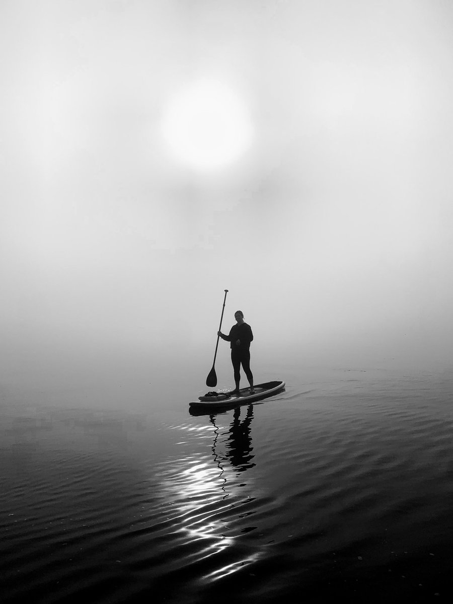 wandersurf's tweet photo. Mellow Yellow Morning Paddle. Every Saturday and Sunday...What's the Story Morning Glory Paddle Board Experience. See you on the water. 
.
.
#wandersurfboardcompany #sunsoutfunsoutpaddle #eveningchillpaddle     #whatsthestorymorningglory   #supersonicrocketship #mellowyellow https://t.co/xSmTcl4Vwr