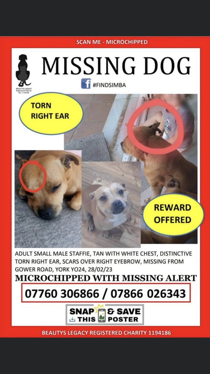 JacquiSaid's tweet photo. https://t.co/zP42X5xdve please help #FindSimba #Tork #Yo24 area . #Stillmissing https://t.co/08MbW1du9o