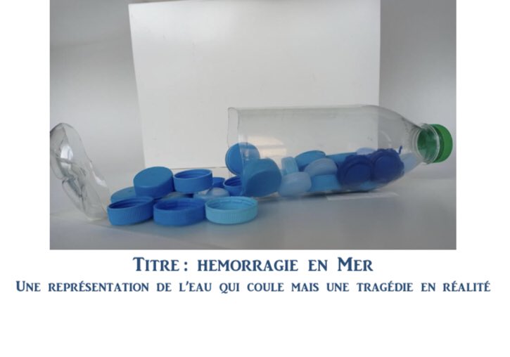 Clg_Ferry13_EDD's tweet photo. Lancement auprès de l’ensemble des élèves de la campagne pour le #concoursartsenplastiquespourlocean proposé conjointement par  @education_gouv et @FondationMer. Voici quelques unes de leurs propositions. Celle qui obtiendra le plus de votes sera reproduite en version XXL #ODD14 https://t.co/YAulvEo2MT