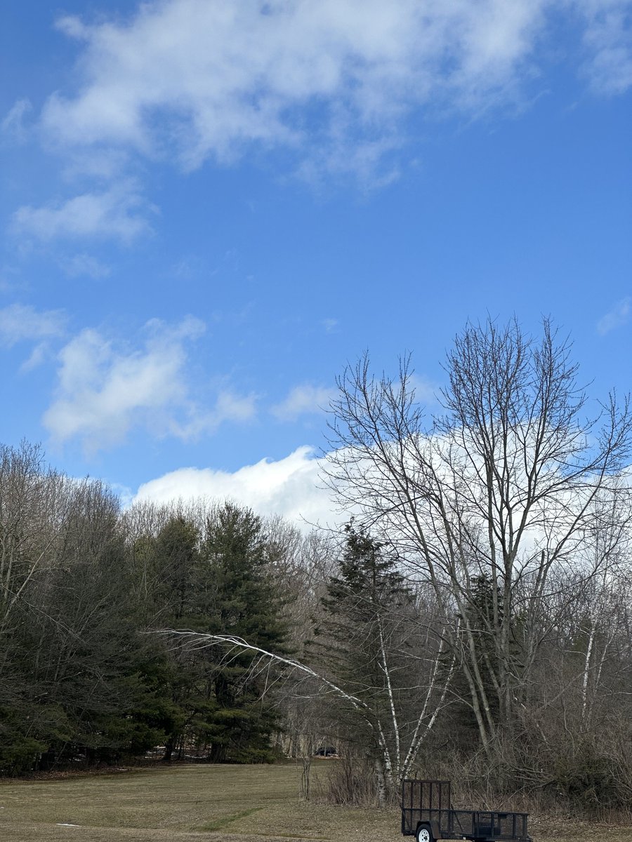 jnickwx's tweet photo. KH clouds? Sorry for the tree obscuring the second pic. https://t.co/Tp7IQQ2rip
