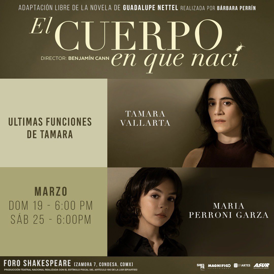 MagnificoEnt tweet media