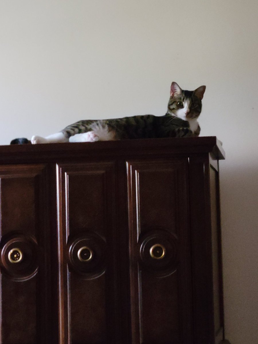 @RamseyPeacock tweet media