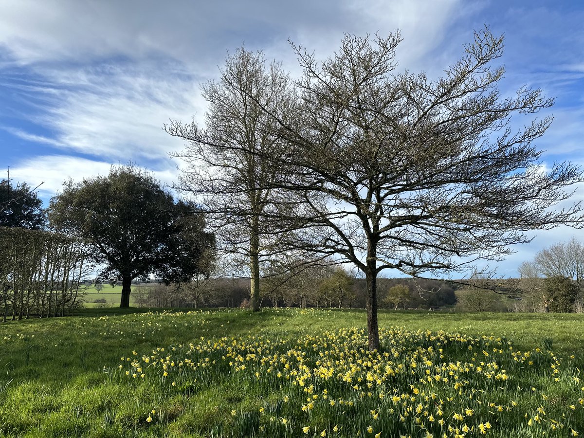 Sue Stuart-Smith 💙 (@suestuartsmith) on Twitter photo Good to be home and to find such an abundance of Spring flowers in the garden. I had so many wonderful experiences when I was in the US. Huge thanks to #Gardenconservancy <a href="/GCOpenDays/">GC Open Days</a> for organising such a great #thewellgardenedmind book tour. Good to be home and to find such an abundance of Spring flowers in the garden. I had so many wonderful experiences when I was in the US. Huge thanks to #Gardenconservancy <a href="/GCOpenDays/">GC Open Days</a> for organising such a great #thewellgardenedmind book tour.