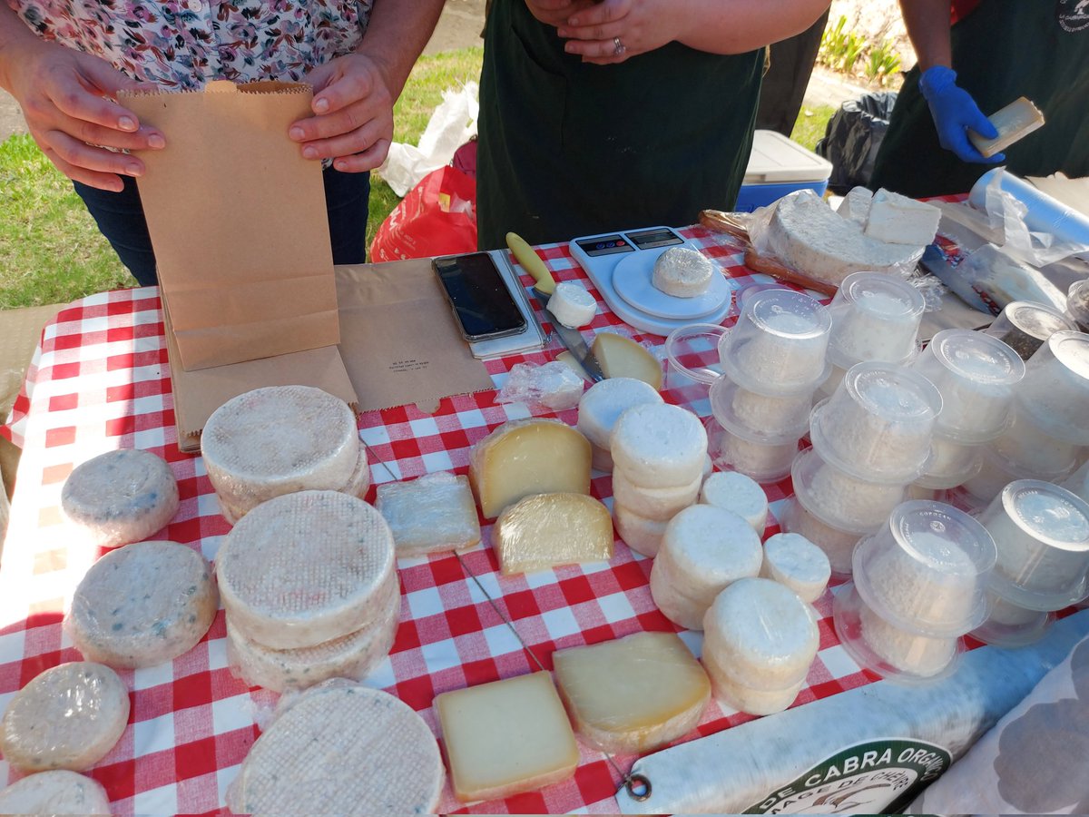 Seytre Jean-Paul 🇨🇵🇪🇺 tweet media