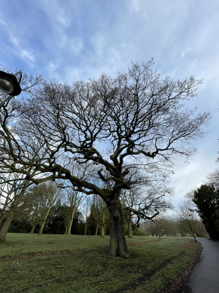 One of the most beautiful University campuses in the UK. <a href="/UniofNottingham/">Uni of Nottingham #WeAreUoN</a>