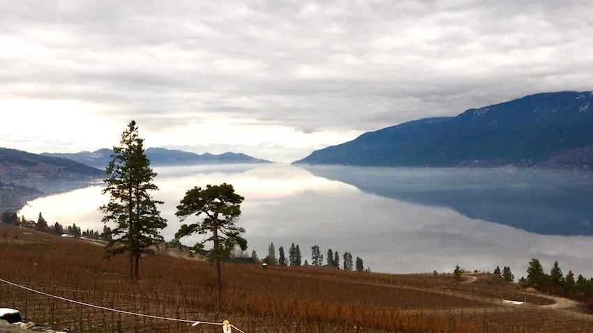 hiredBelly's tweet image. Great news for O'Rourke Family Estate #bcwine #chardonnaydumonde  hiredbelly.com/orourke-shines…