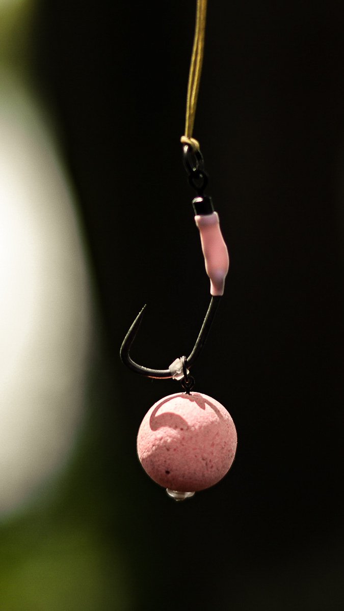 HoboArmour's tweet photo. STRAIGHT POINT HOOKS AVAILABLE NOW!!!!

Click Here: https://t.co/bM9EGFz9yC

#carpfishing #hoboarmour #fishing #carp #carpangling #angling #carpe #karp #karpfen #instagood #photo #finditliveit #goplayoutside #carpology #carplife #bigcarp #carptalk https://t.co/6Z5iJCL23z