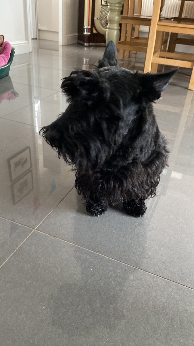 The Hector Company tweet media