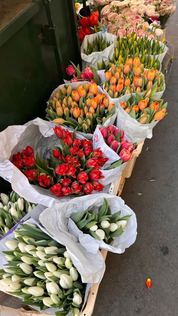 bouquets of flowers 💐