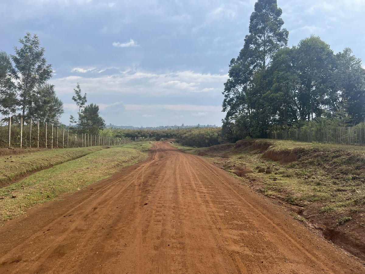 Today let's talk gabbage. Been picking up litter along my walking path in my beloved Sironoi over the last five or so years. I have noticed that there is less dumping now. Fellow users of the road always see me picking up the litter. My people let's not litter this ecosystem.