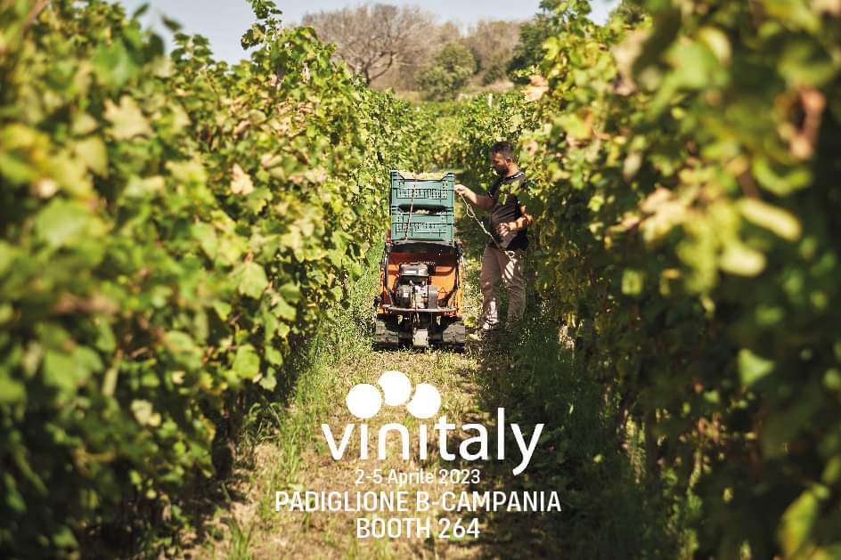 Noi ve lo diciamo, ci stiamo preparando! 
Dal 2 al 5 aprile siamo al #Vinitaly, Padiglione B #Campania  stand 264 (zona #Napoli, quelli azzurri 😜). 
#falanghina #piedirosso #crunadelago #vignamadre #domusgiulii #marsiliano #passio #campiflegrei