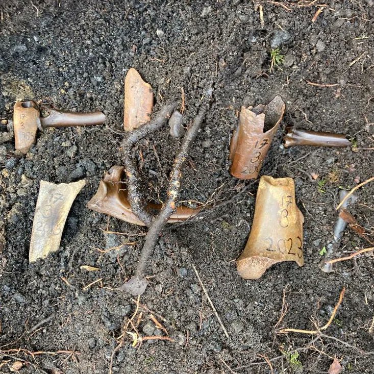 PabloPakula's tweet image. ☠️🌱🌷
Bones and Bulbs
(10 weathered and engraved animal #bones, 40 crocus bulbs, 40 iris renticulata bulbs)

I performed this small #ritual #action as an incongruous #burial to mark my 40th #birthday.

Read more about it here:
pablopakula.com/land-pieces.ht…

#liveart #performanceart