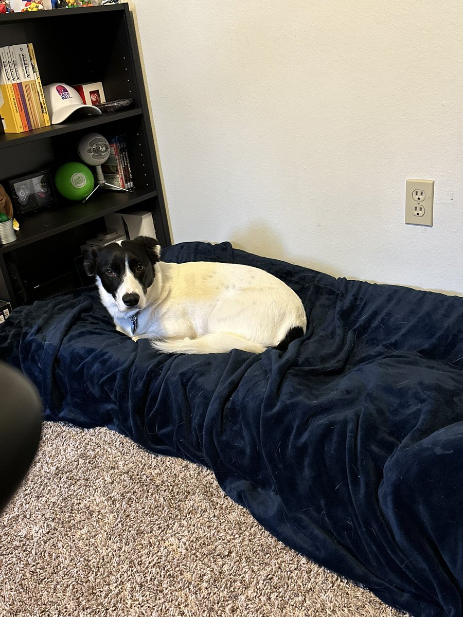 Magik🎩🎮 tweet media