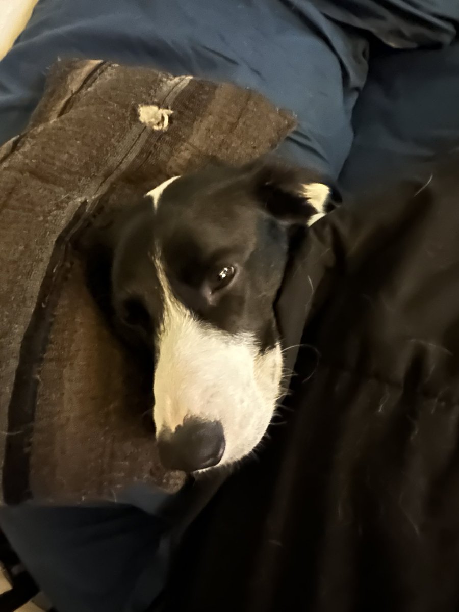 Magik🎩🎮 tweet media