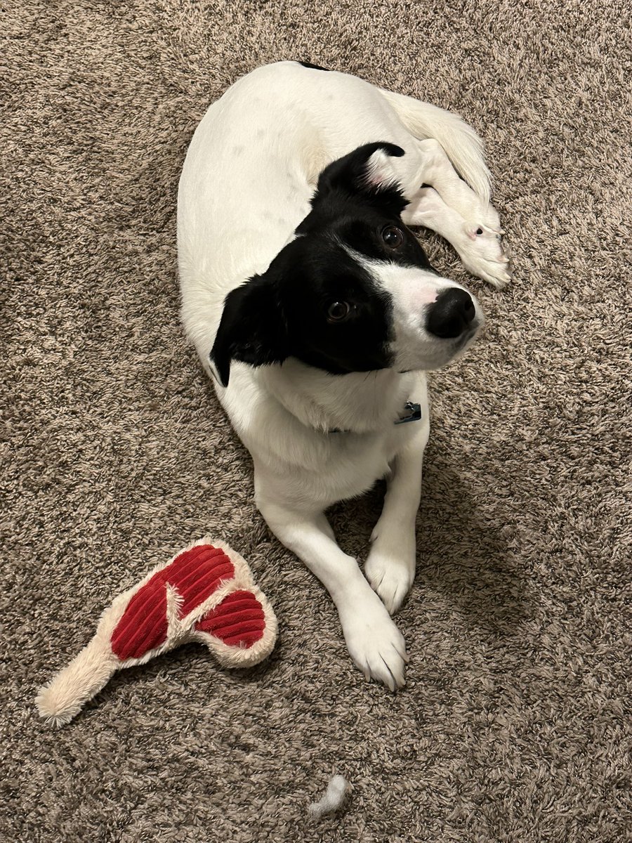 Magik🎩🎮 tweet media