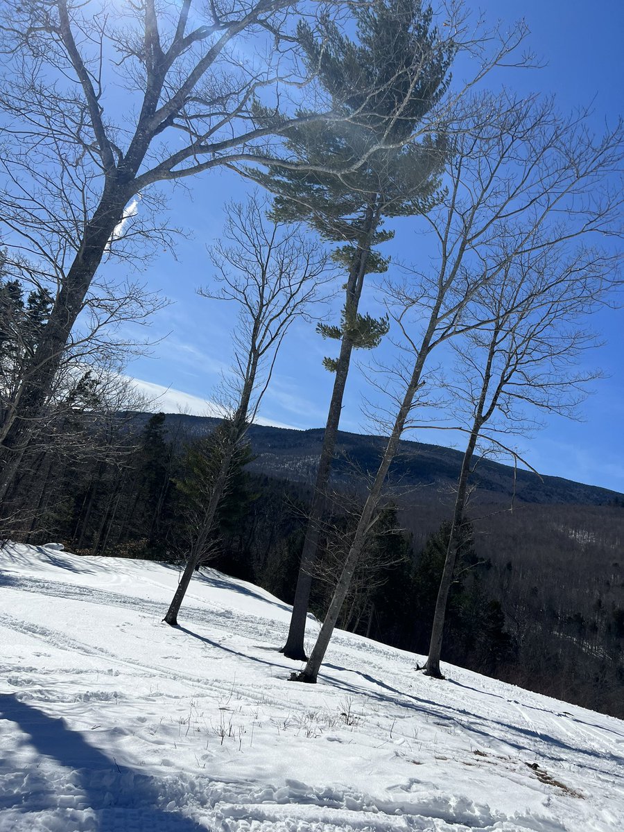 Truecountryboy3's tweet photo. Snowmobiling https://t.co/fnnc19pfOT