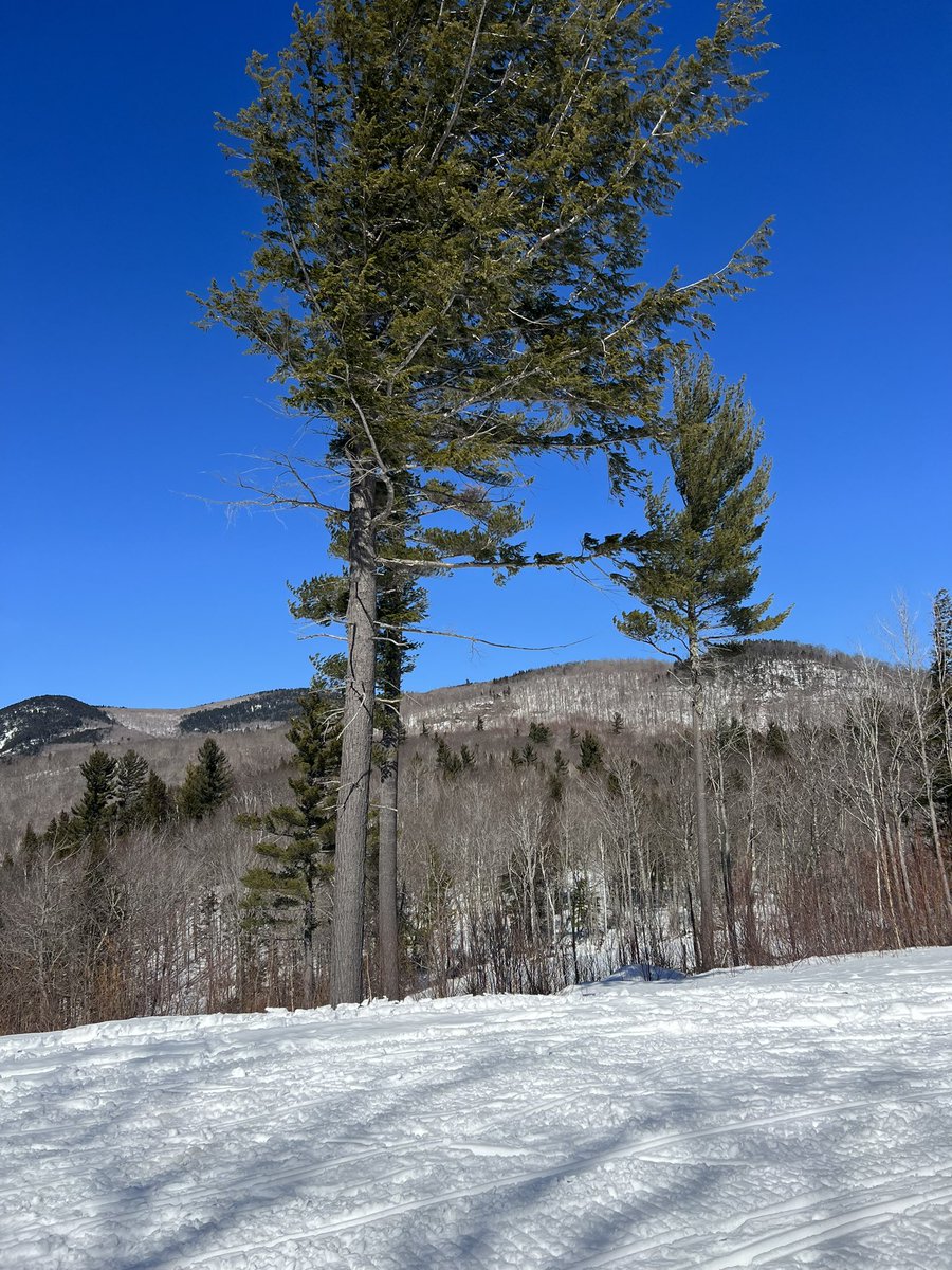 Truecountryboy3's tweet photo. Snowmobiling https://t.co/fnnc19pfOT