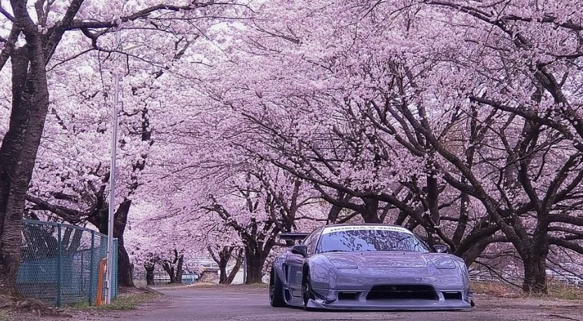 _CrimsonStudios's tweet photo. Cherry Blossom NSX
#HONDA #nsx #explorepage #mugen #jdm #acuranation #stanced #hondatuning #widebody #turbo #vtecsociety #superstreet #speedhunters #importtuner #rawmodified #stancenation #車高調 #車高短 #nftcollectors #nft #digitalcollectibles #art #artwork #CrimsonStudios https://t.co/YcXwvr91Gx