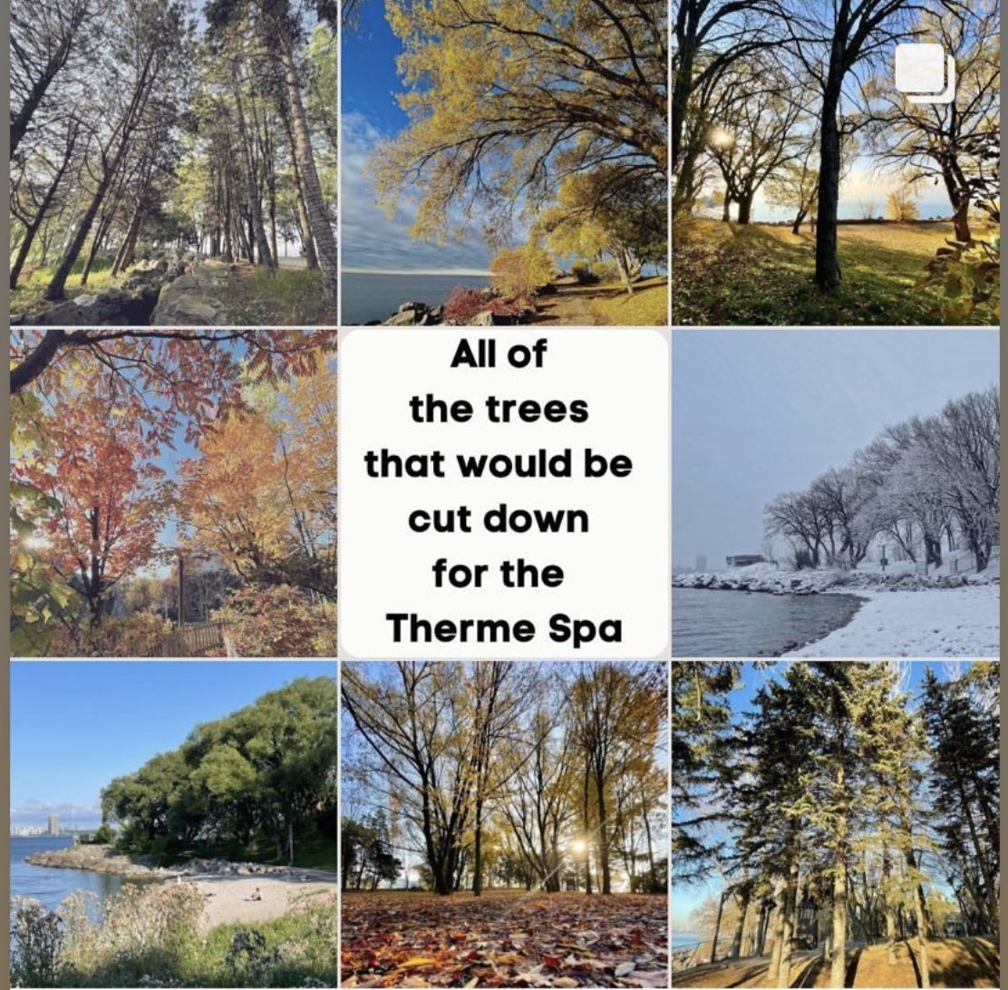 We hope to see you out, standing up for an Ontario Place for All and saying NO to a private spa that would lead to the loss of 850 trees! #topoli #onpoli
