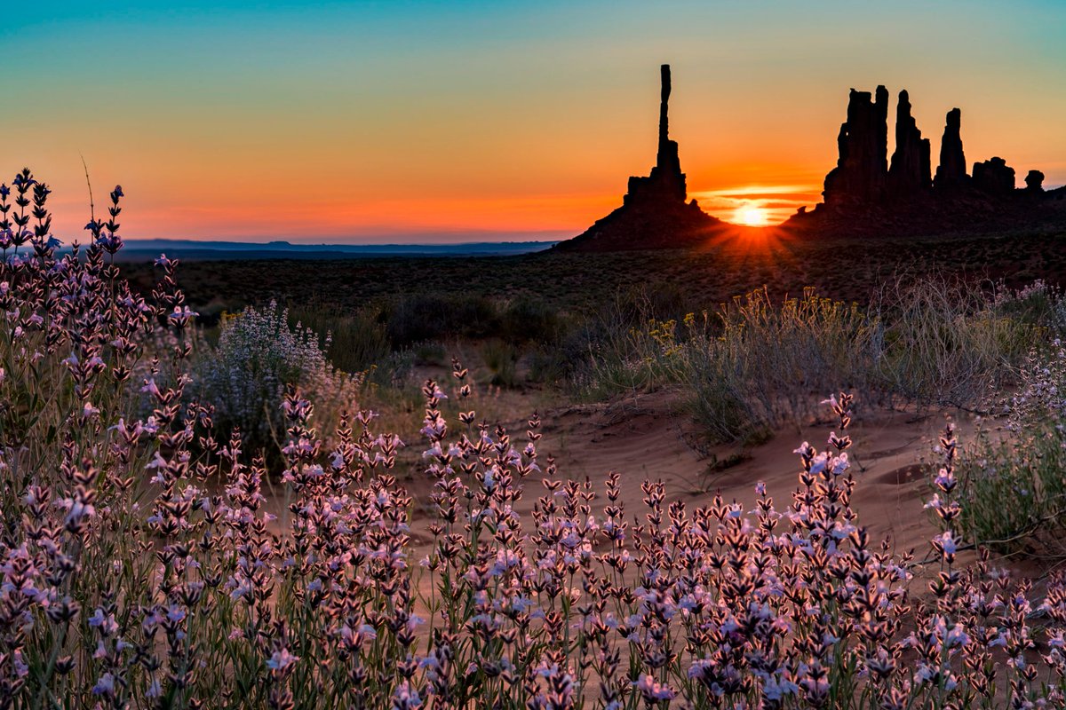 If we spend all our time worrying about what could go wrong we won't be able to enjoy what could go right, life's to short to not live a little on the wild side.

#SoSvetSays
#Nature #NaturePhotography by Dave Soldano