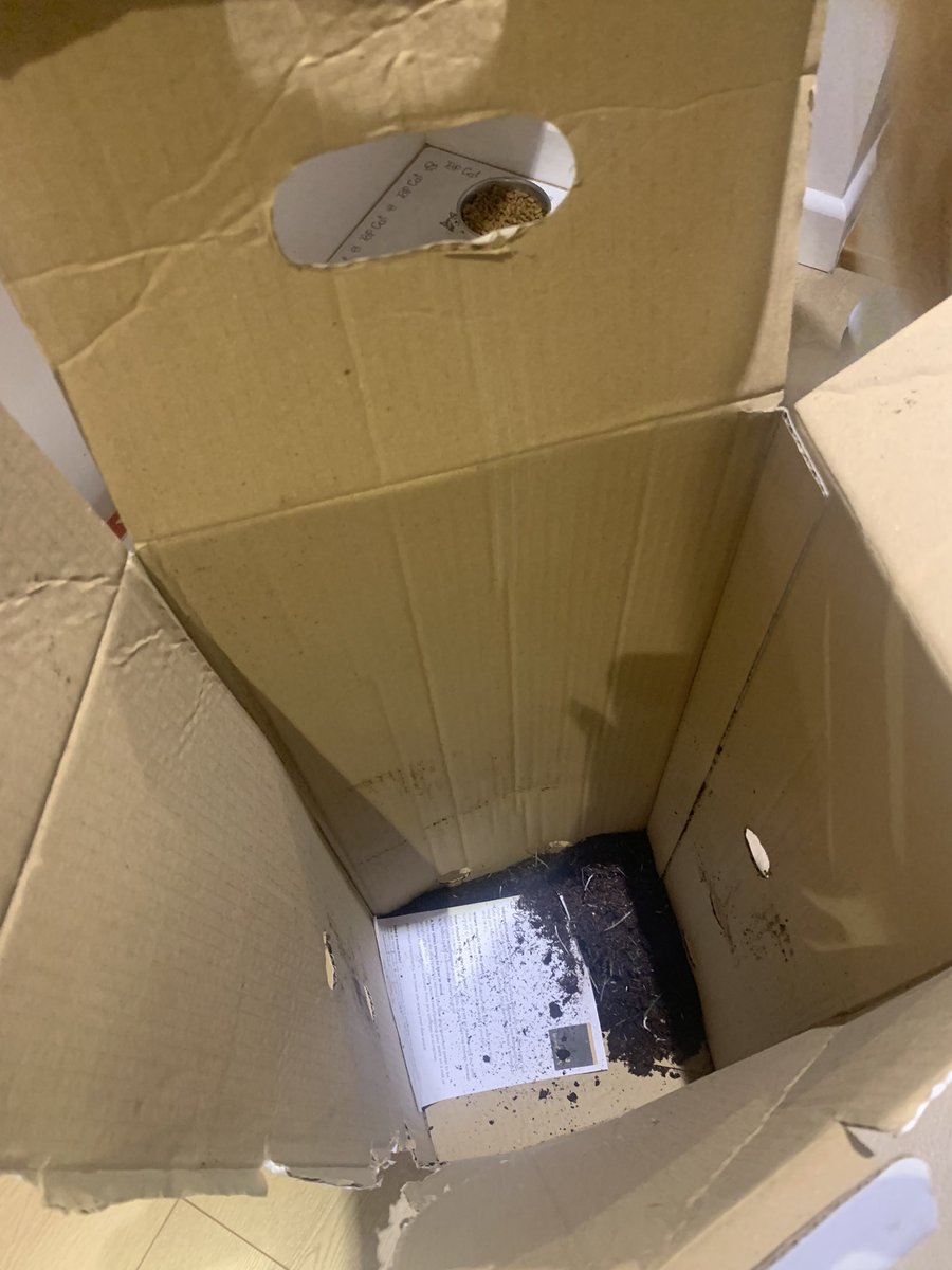 @interforauk - disgusted at the state of the plant i received today from interfora today for mothers day. You charge so much and plant in pieces when it arrived