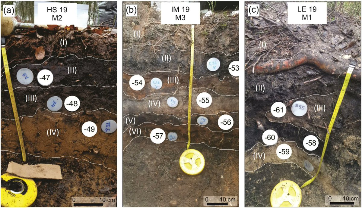 OSL dating as an alternative tool for age determination of relic charcoal kilns buff.ly/3ThQOax
buff.ly/3ThQOax