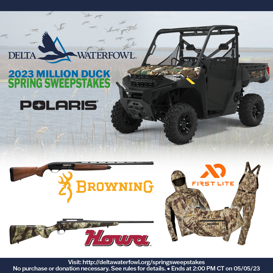 DeltaWaterfowl's tweet image. 💥You could win one of 30 prizes in Delta Waterfowl's 2023 Million Duck Spring Sweepstakes!💥
1st Prize | @BrowningArms  Maxus II
2nd Prize | @firstlitewool Refuge System
3rd Prize | #Howa SUPERLITE 6.5 Creedmoor
deltawaterfowl.org/springsweepsta…