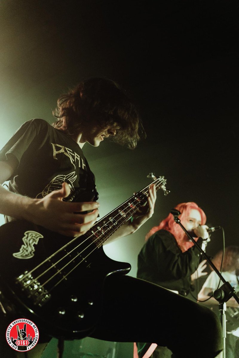 Apparitia tweet media