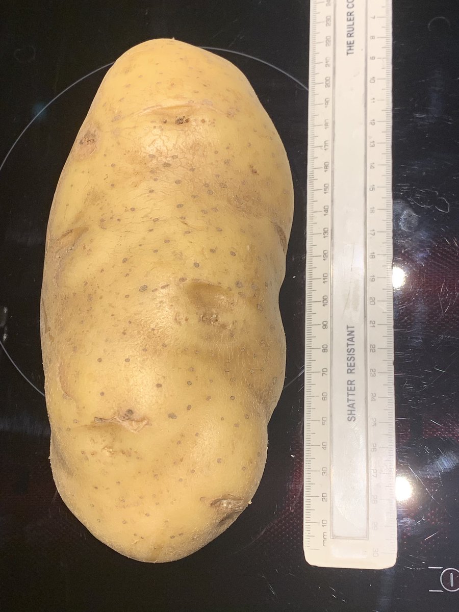 Food folk of Twitter, What would you do with a 22 cm long potato 🥔?