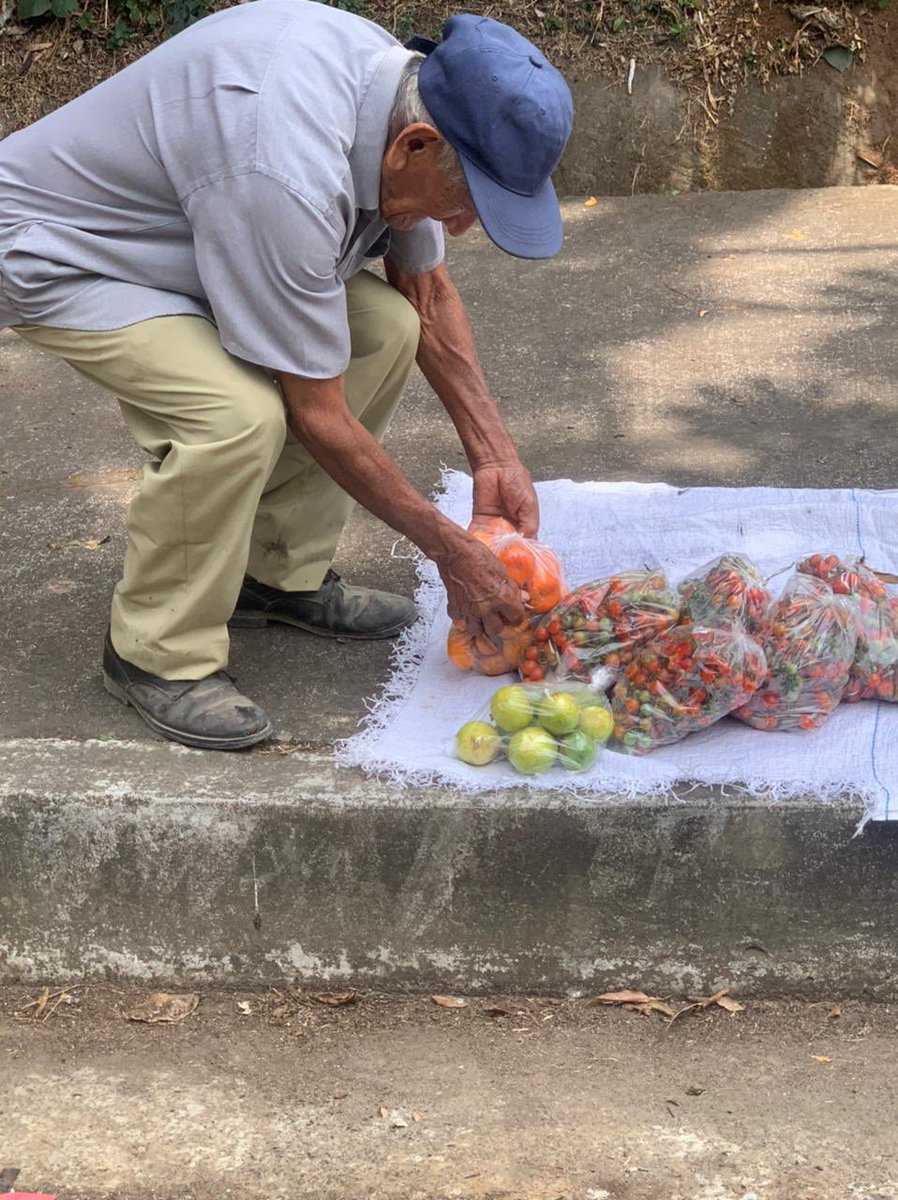 rafael_maza's tweet photo. Si pueden pásenle comprando a estos ancianitos están vendiendo tomatitos silvestres, mandarina para fresco y otras frutas para subsistir yo aquí llevo mis tomates, están después del primer redondel después de pricesmart buscando para la cima @artemisafmg @mfunes https://t.co/x8S5G505be