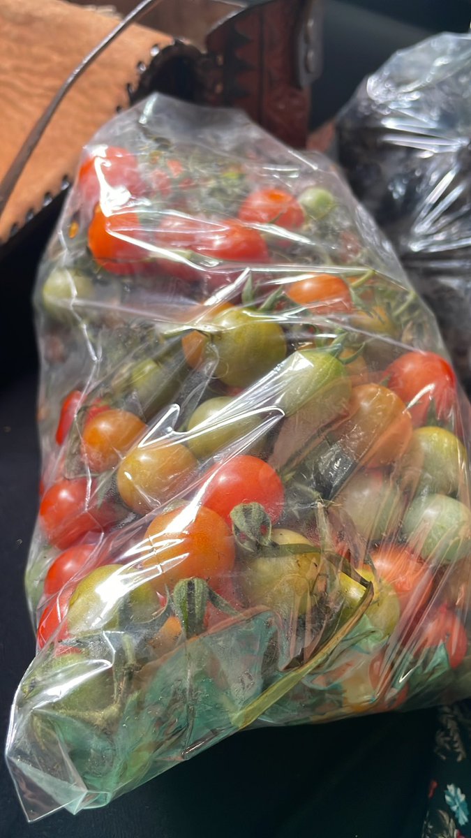rafael_maza's tweet photo. Si pueden pásenle comprando a estos ancianitos están vendiendo tomatitos silvestres, mandarina para fresco y otras frutas para subsistir yo aquí llevo mis tomates, están después del primer redondel después de pricesmart buscando para la cima @artemisafmg @mfunes https://t.co/x8S5G505be