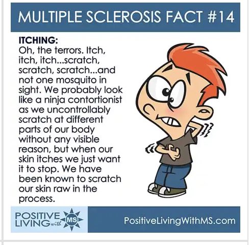 Foreverlocs's tweet photo. #MarchisMSAwarenessMonth
#msawareness
#FightingMSForever
#MSWarrioress https://t.co/vAtYB4YwLS
