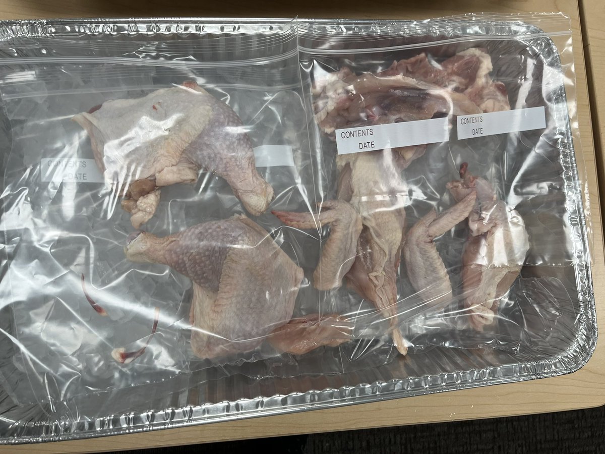 Today at the ACF knife skills competition a Freshman, Lorens Lleshaj placed bronze. Great job Lorens!🥇