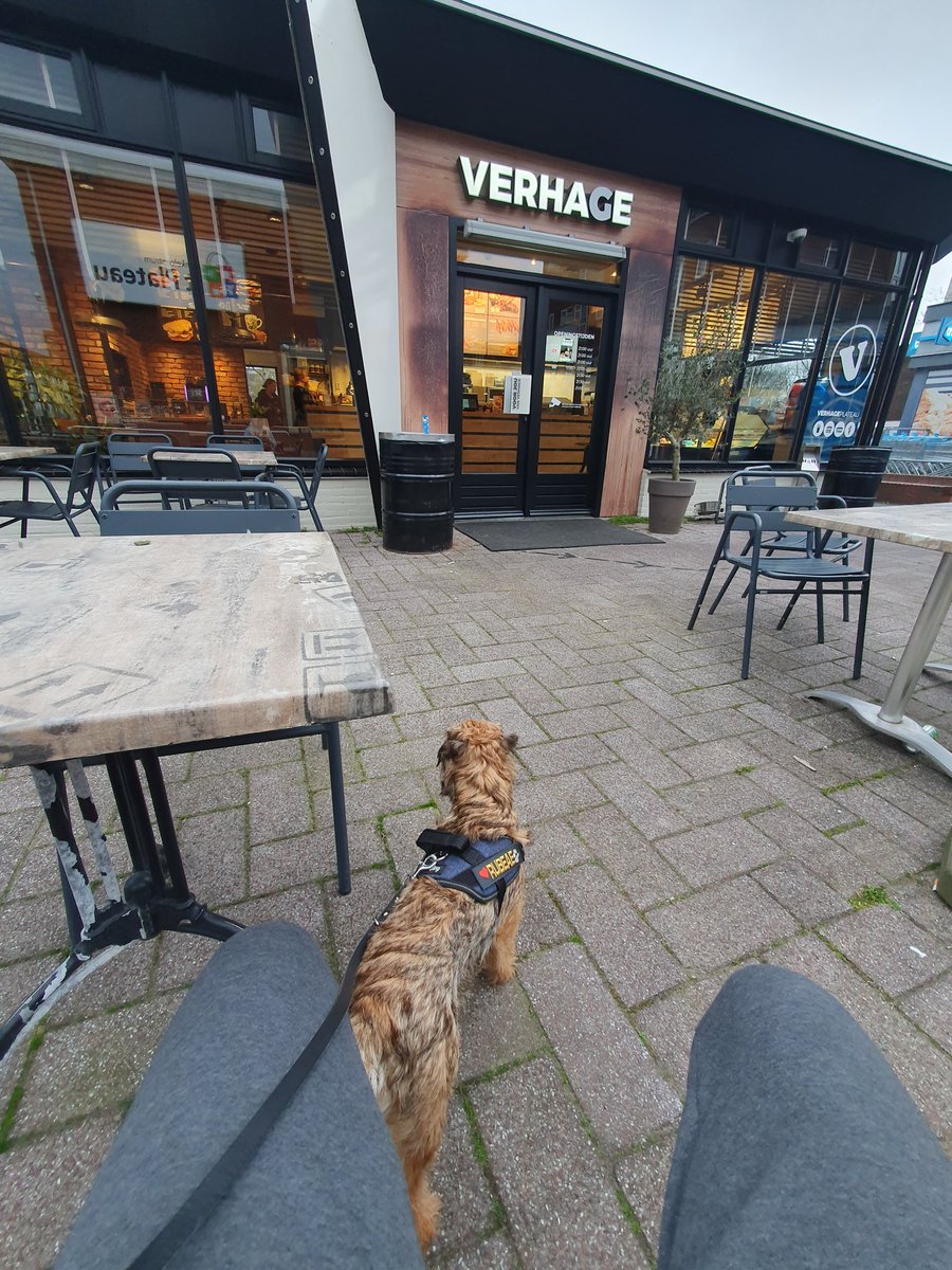 Rubeae_'s tweet photo. Patiently waiting at the chippy for dinner.
Scored one that was on the floor inside.
#BTPosse #Rubeae #verhage #chipsForDinner #fridaynight https://t.co/EZGkbZpEqE