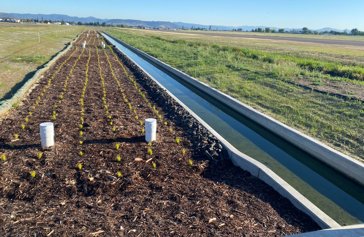 Airport Business tweet media