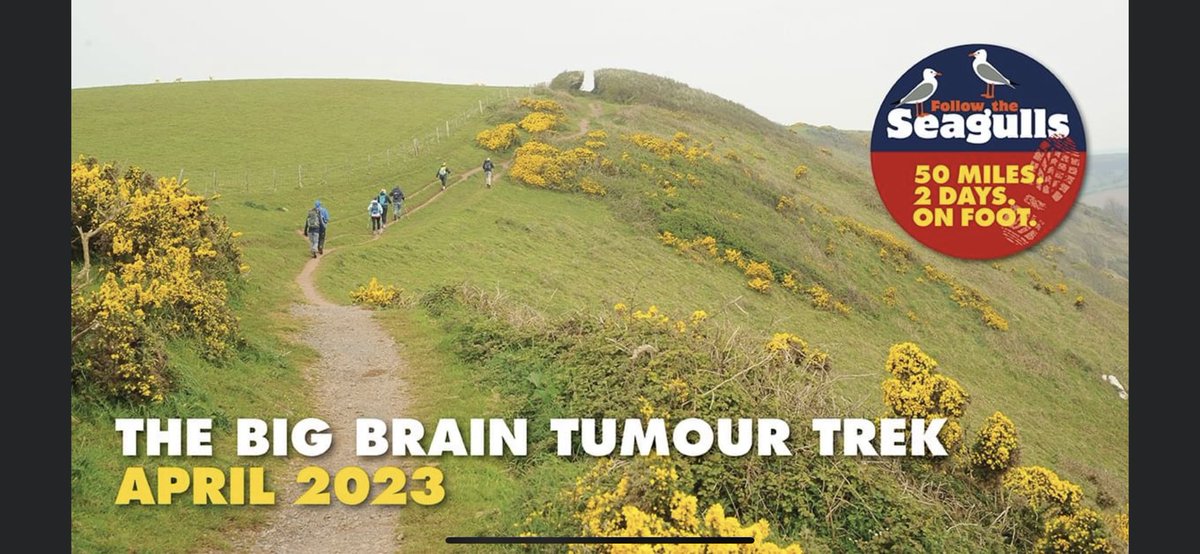 Tracey Howe (@proftraceyhowe) on Twitter photo I’m raising funds <a href="/brainstrust/">brainstrust</a> supporting people #braintumours brainstrust.enthuse.com/pf/tracey-howe… I’m raising funds <a href="/brainstrust/">brainstrust</a> supporting people #braintumours brainstrust.enthuse.com/pf/tracey-howe…