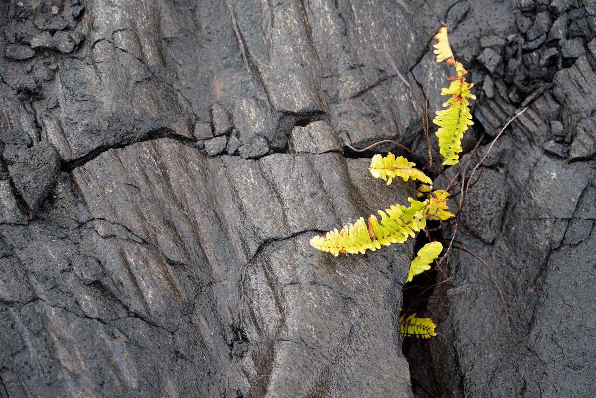 bugsexthedoc tweet media