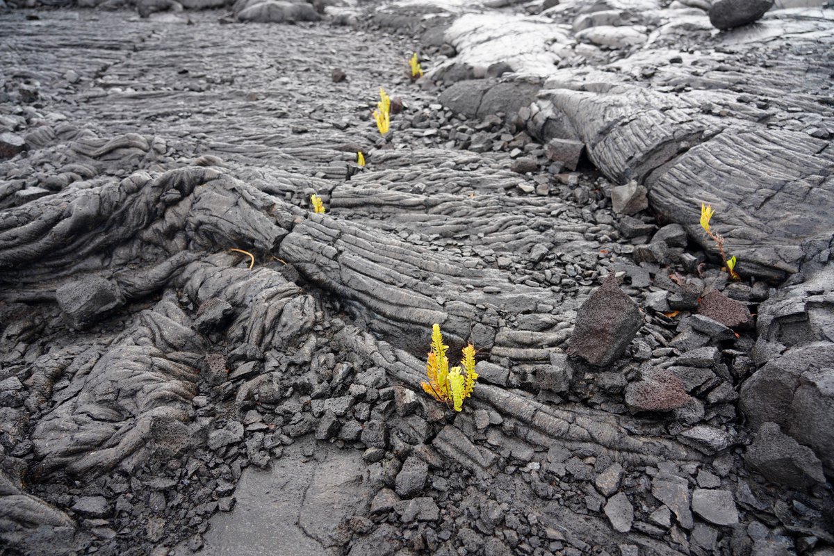 bugsexthedoc tweet media