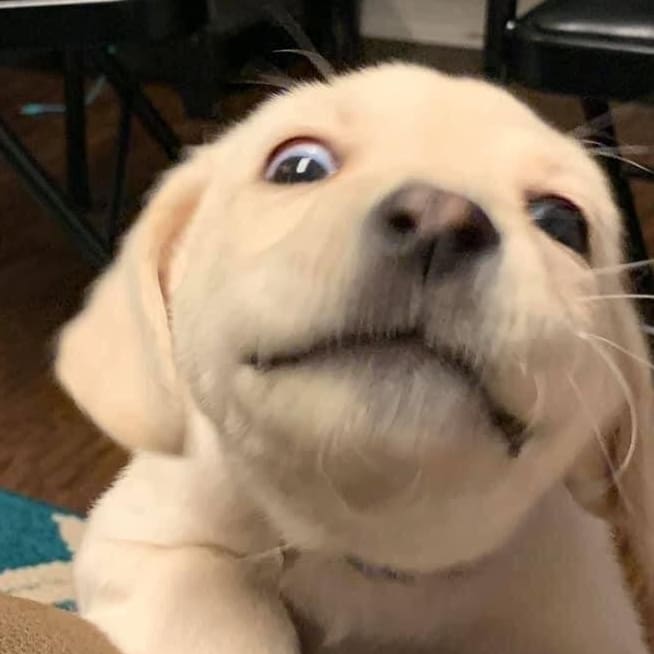 : ความน่ารักกก