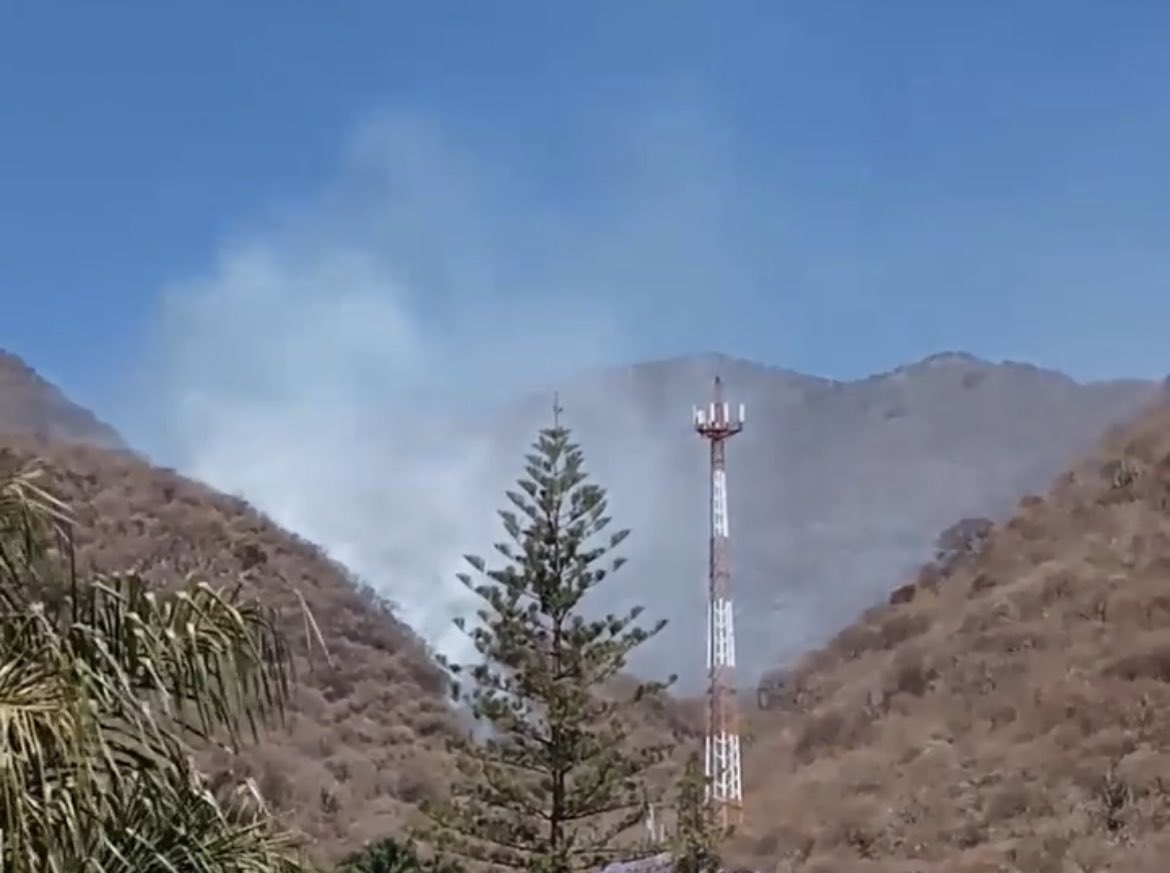 LAVOZDELARIBER1's tweet photo. [VIDEO 📹] Se reporta fuego forestal en el Area Natural Protegida Cierro Viejo - Chupinaya - Los Sabinos, en el área conocida como en #Tempisque en #Ajijic 

@SemadetJal @ReporteForestal https://t.co/hJNBEtAKv2