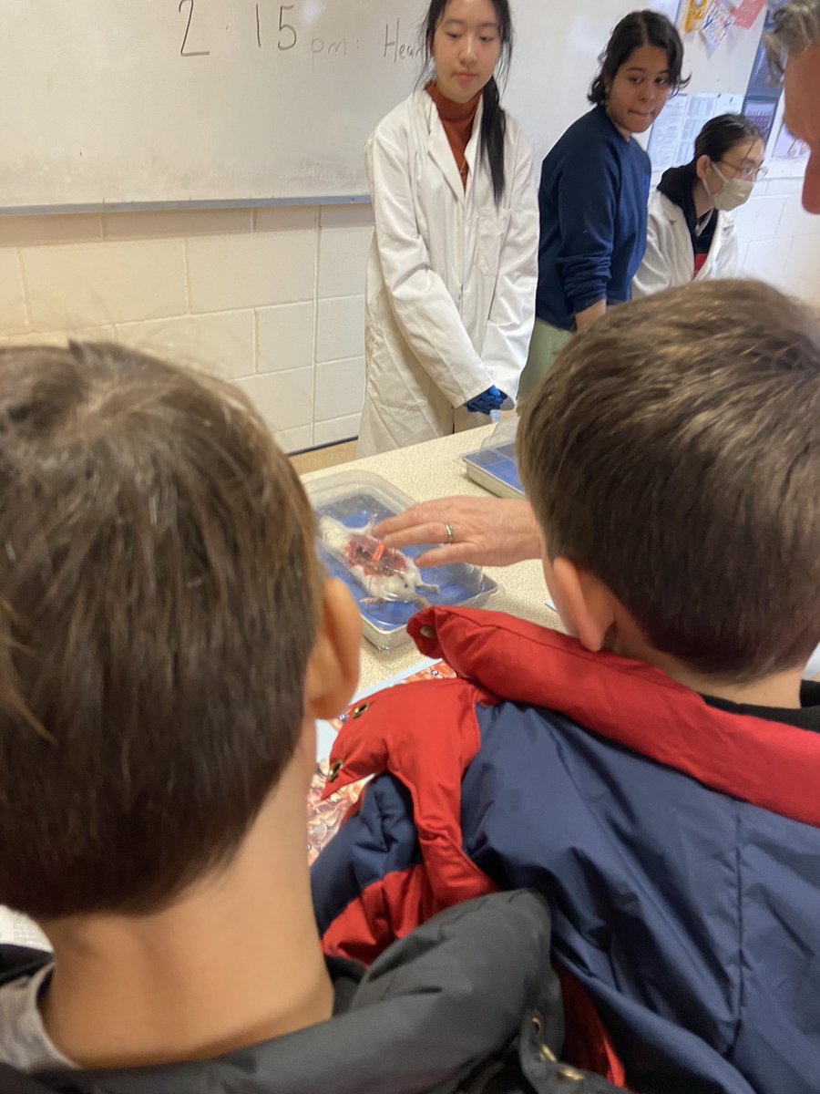 ChristaOsman87's tweet photo. We had a great time at @crgscc sci-fest today. So many great activities available to children… and adults! https://t.co/DlRrG5S2c3