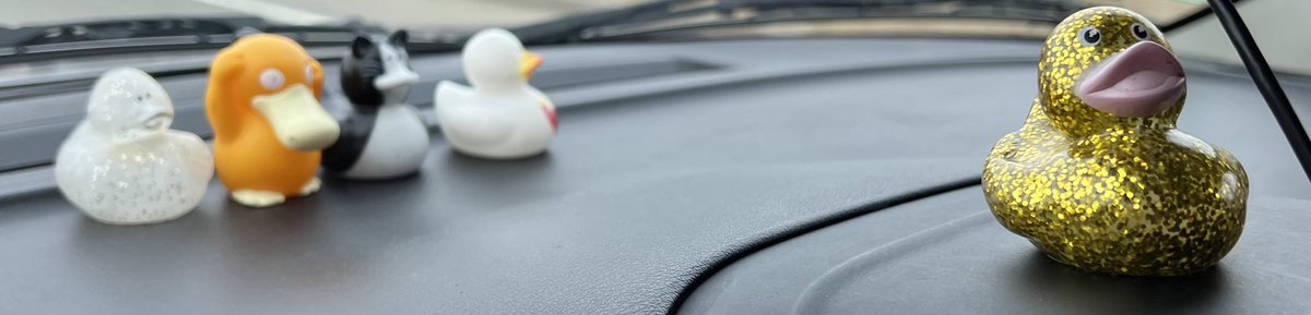 SilverRiotJeep's tweet photo. Current flock #duckduckjeep https://t.co/Ns9mt6sFva
