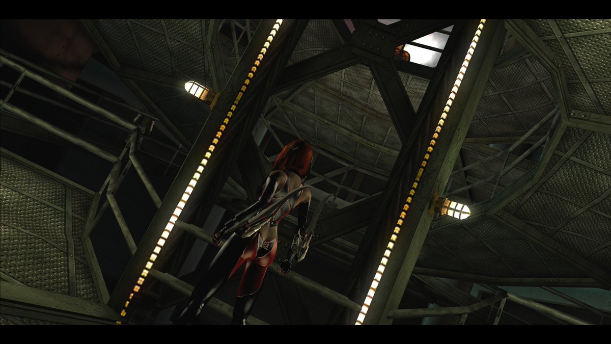 erisenigma's tweet photo. #BloodRayne2 #TerminalCut #PC https://t.co/LJZQZqJoyH