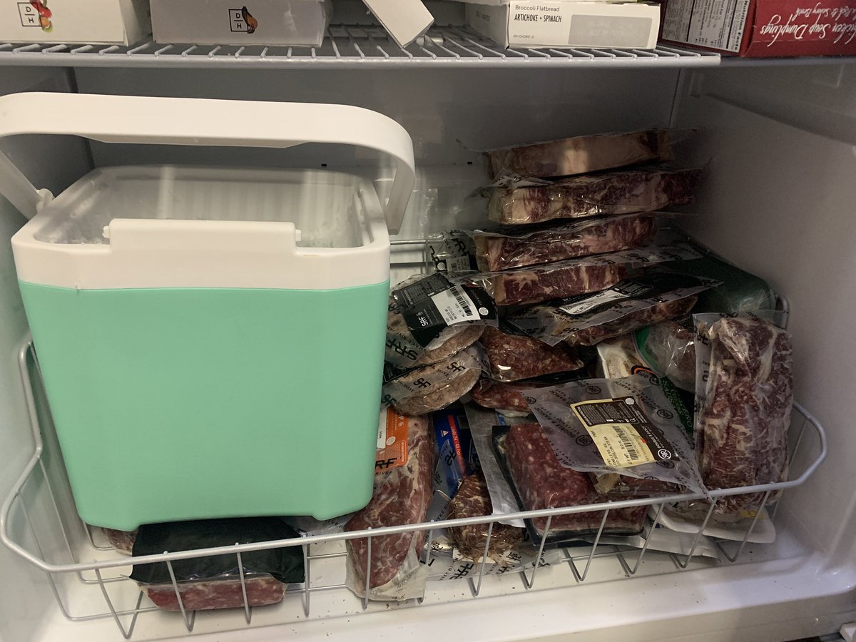 Holly Nemerofsky tweet media