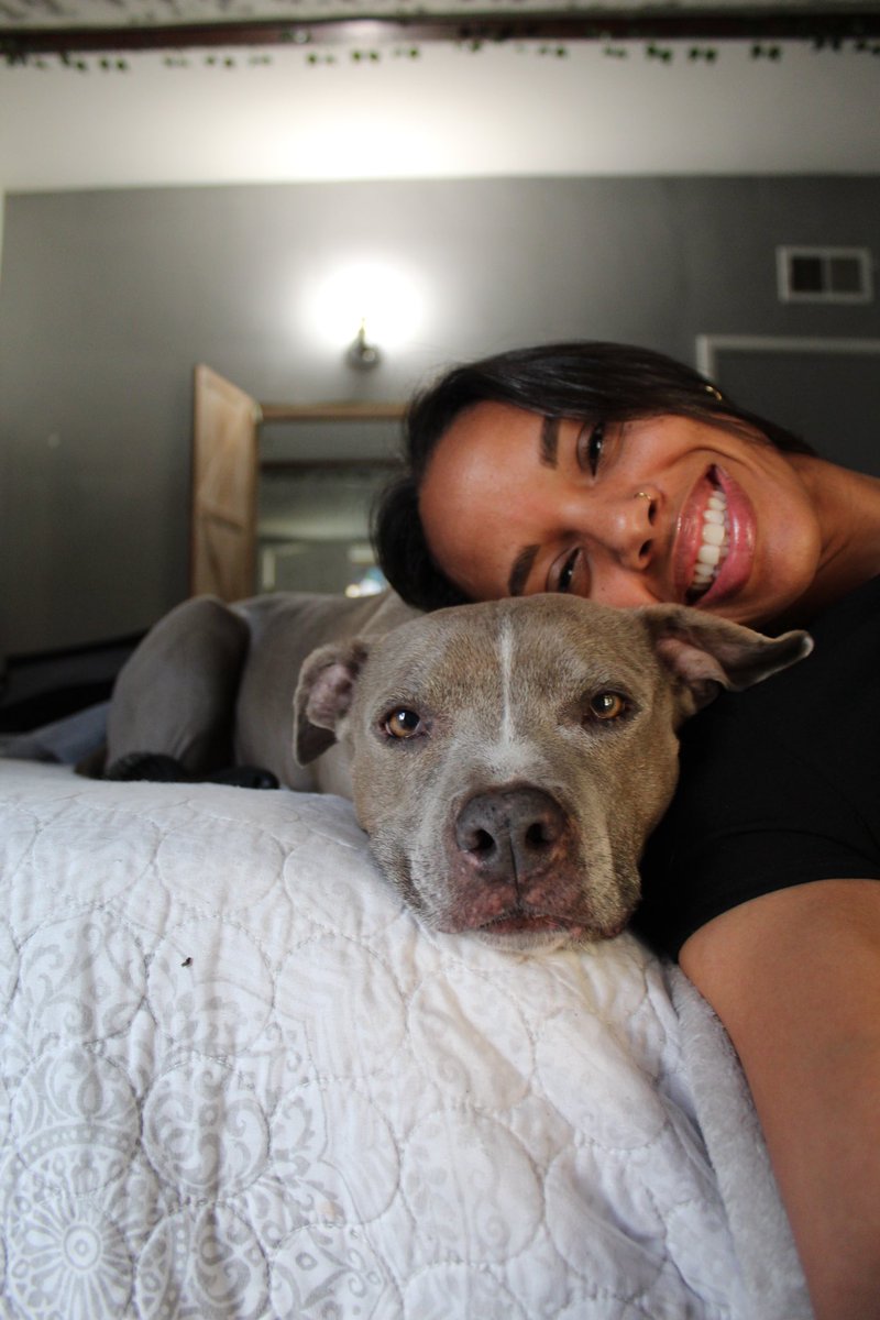 darriellf's tweet photo. proud to be this pittie’s mama 💗 https://t.co/cRd67iFEQ9