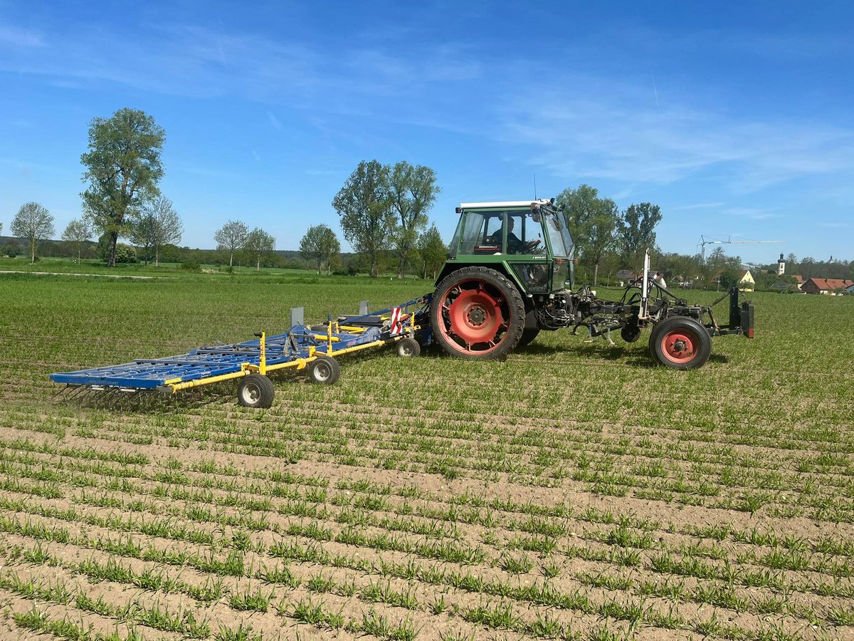 profiMagazin's tweet photo. Hier ist ein #Fendt GT 275 mit einem #Treffler TS1220 Striegel zu sehen. https://t.co/sb1VtwP0bE