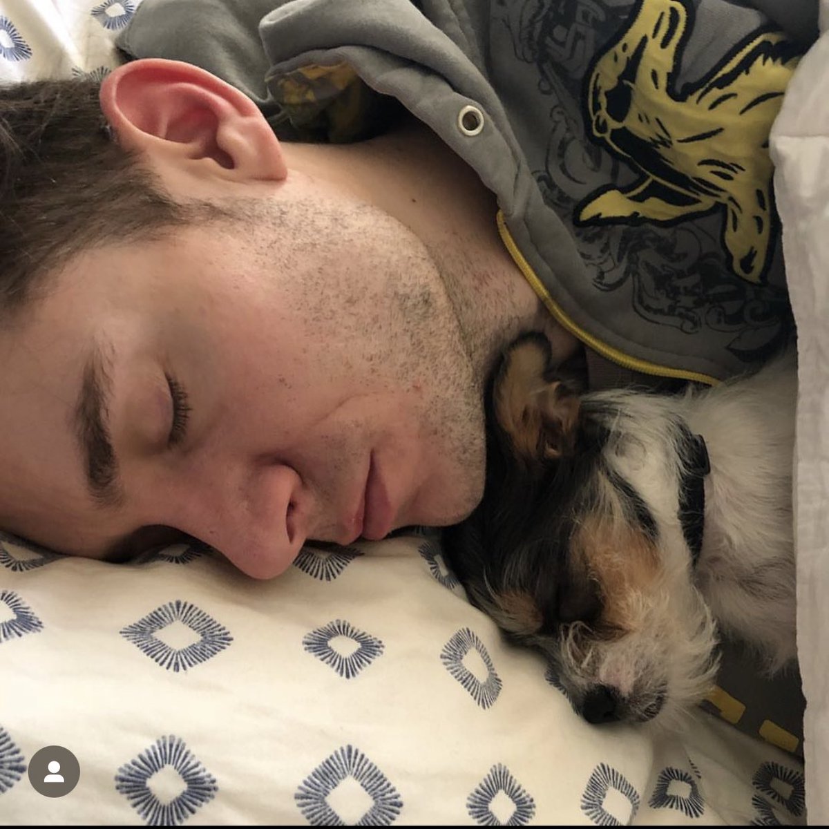 loudgayamerica's tweet photo. Sometimes I think about how damn cute Rowsdower was as a puppy and I want to throw up rainbows. Little bait and switch bastard. #rowsdower https://t.co/JfLVFmblXE
