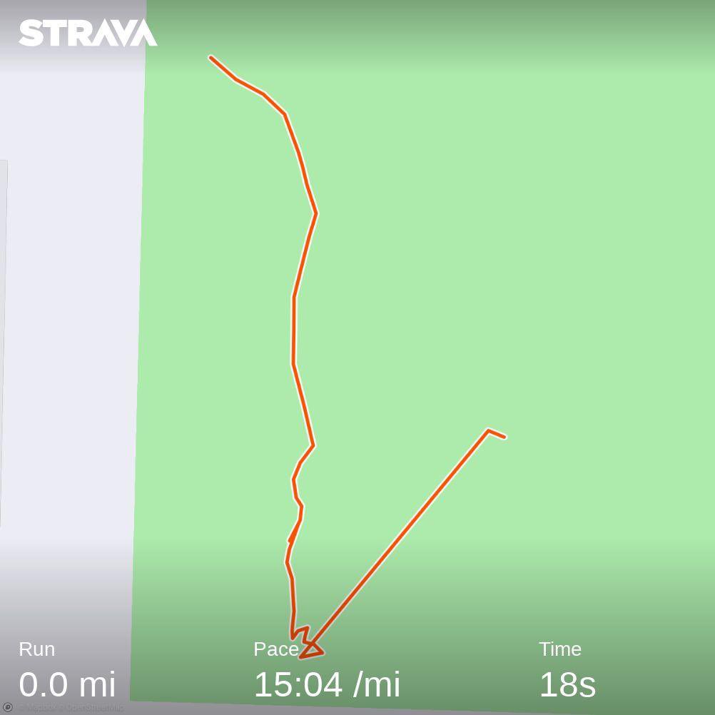 irateb's tweet photo. First Saturday Morning Sprints™️ in Van City! Beautiful sunny morning and, I can’t believe I’m saying this, but it is a “warm” 55 degrees Fahrenheit (13 for my new Canadian friends lol). Run powered by DJ Kwite Sane’s “Riddim and Whine” stream on Twitch 
https://t.co/JjLphKV2X1 https://t.co/wfa2e0etm8